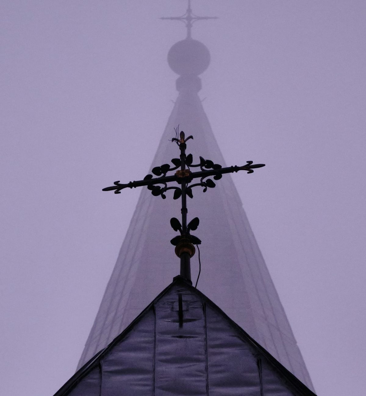 Nona and the accidental Miracle