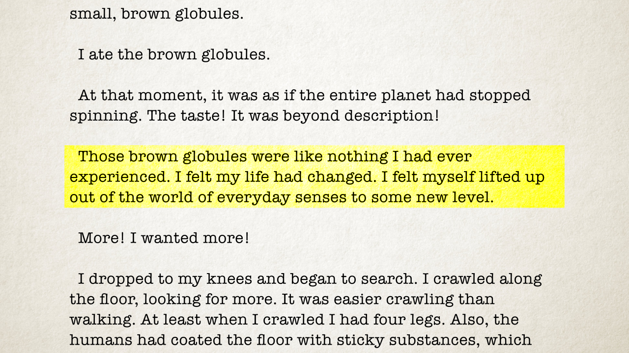 An excerpt from Animorphs book 8.