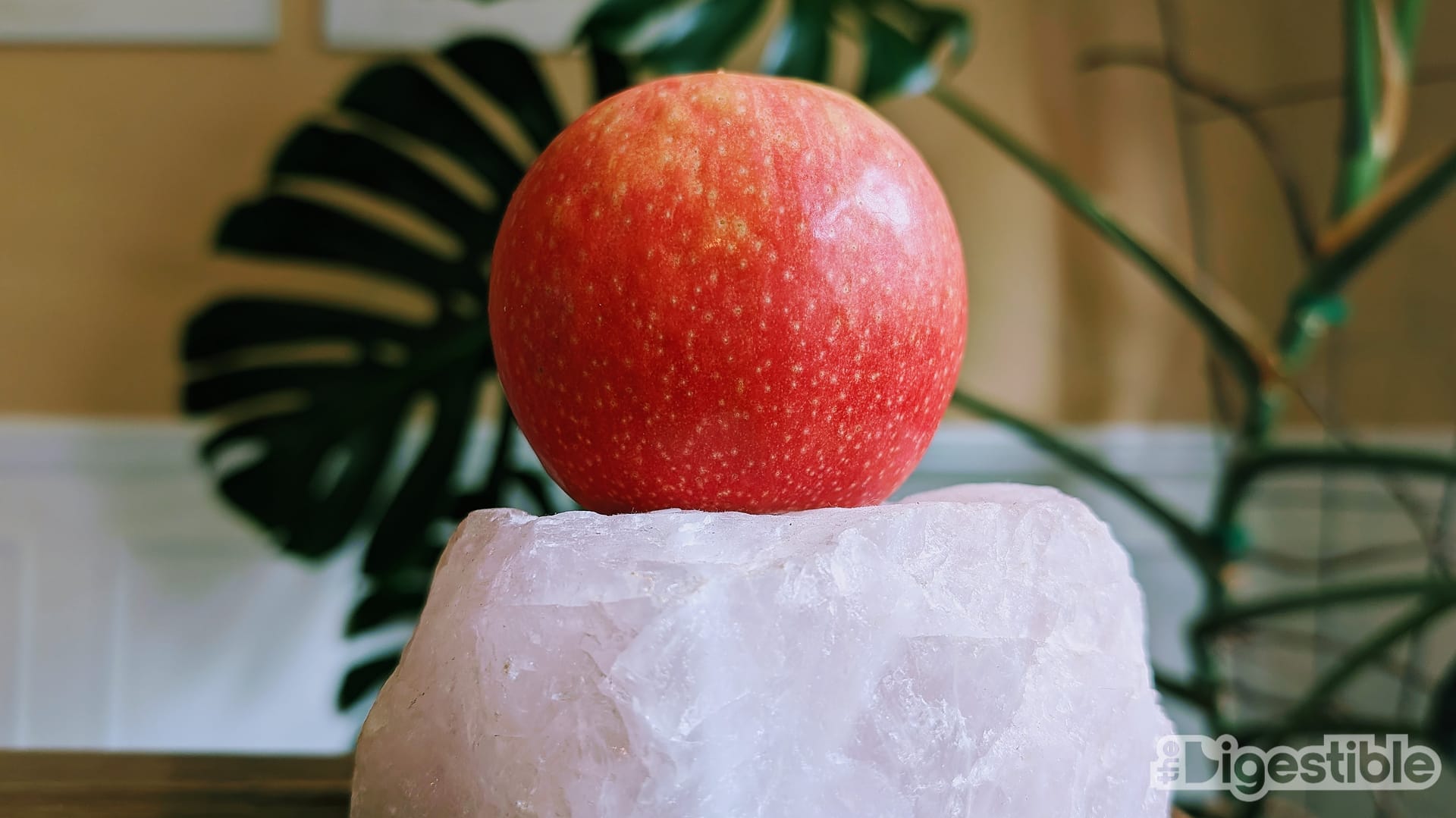 A pink lady apple on a pink salt block.