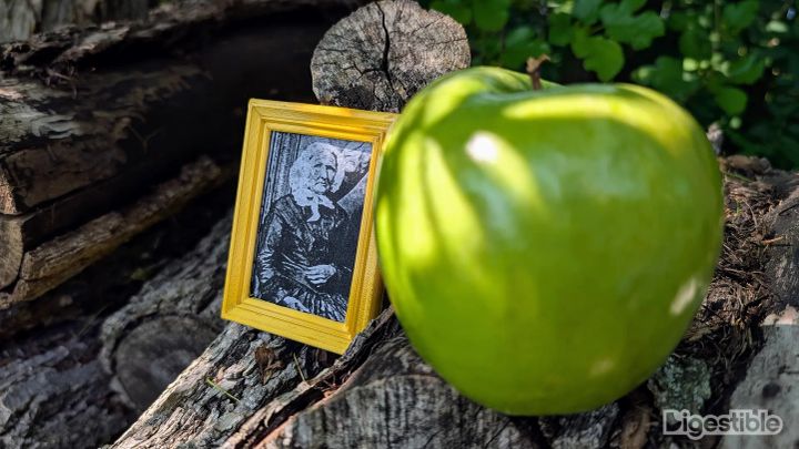 A Granny Smith Apple on a log with a mini framed photo of Granny Smith in the background.
