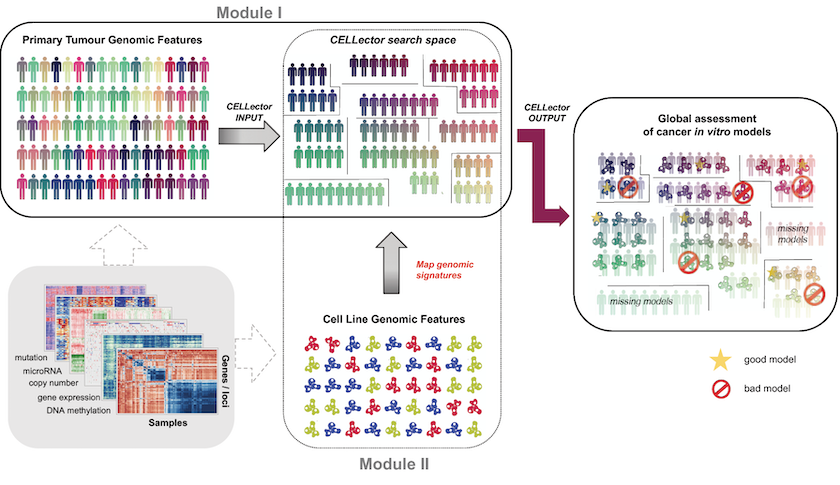 Screen-Shot-2019-02-01-at-14.59.18