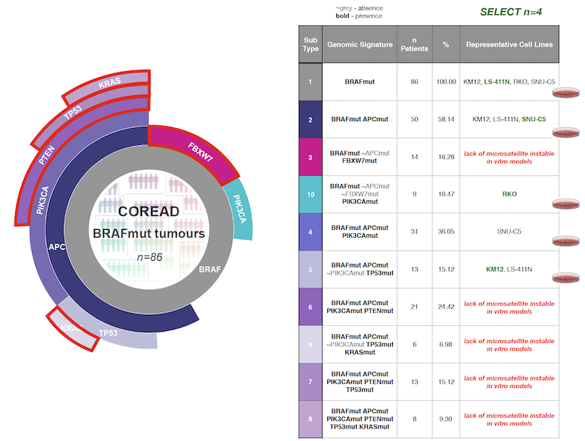 Screen-Shot-2019-02-01-at-15.04.19