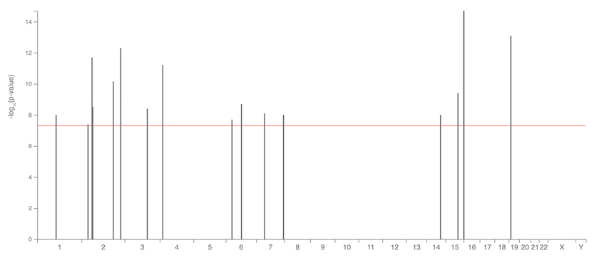 Screen-Shot-2019-06-17-at-09.45.16