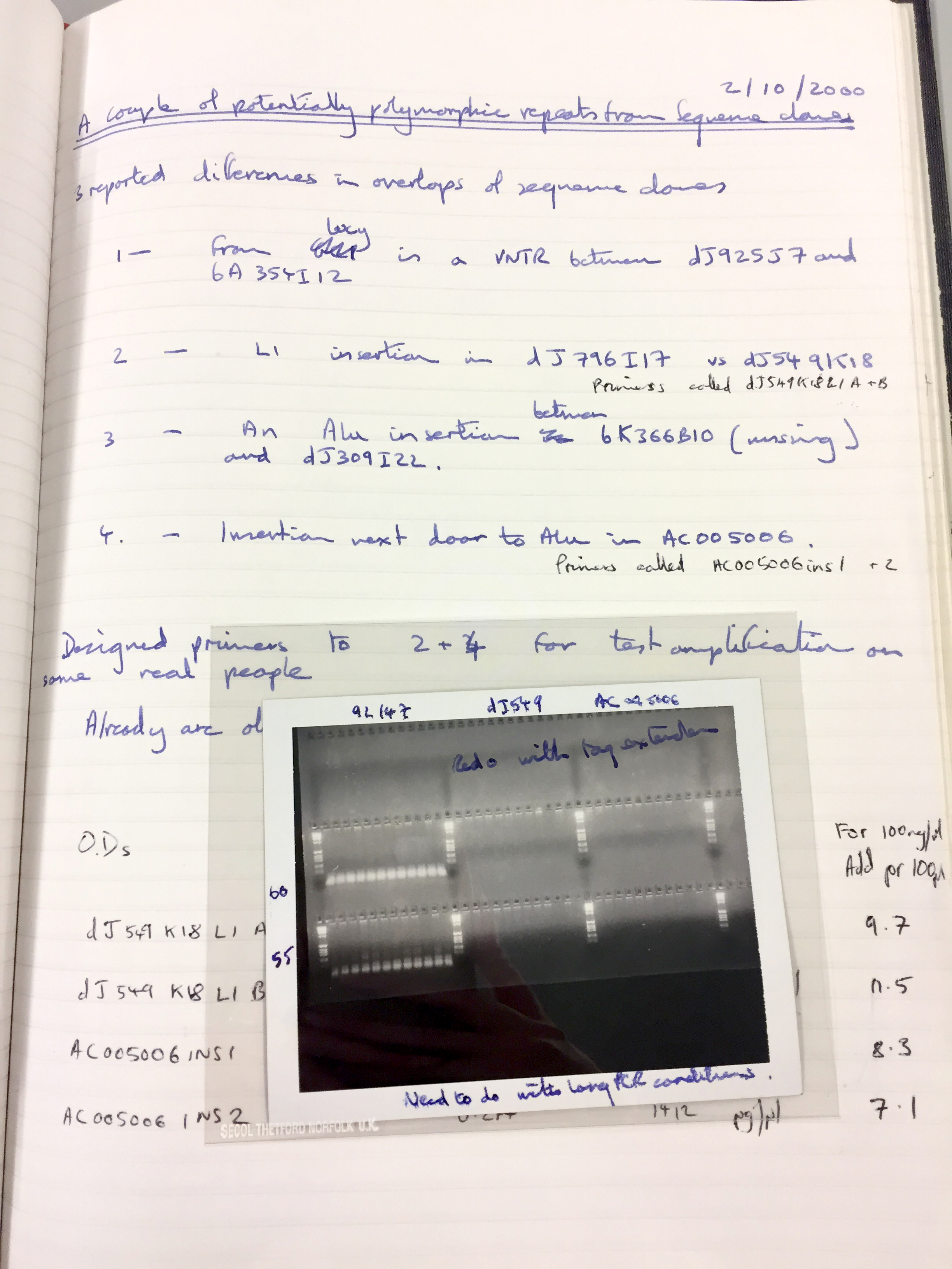 Single page from a laboratory notebook, dated 2/10/2000. It has notes in blue and black pen and an image of a gel.