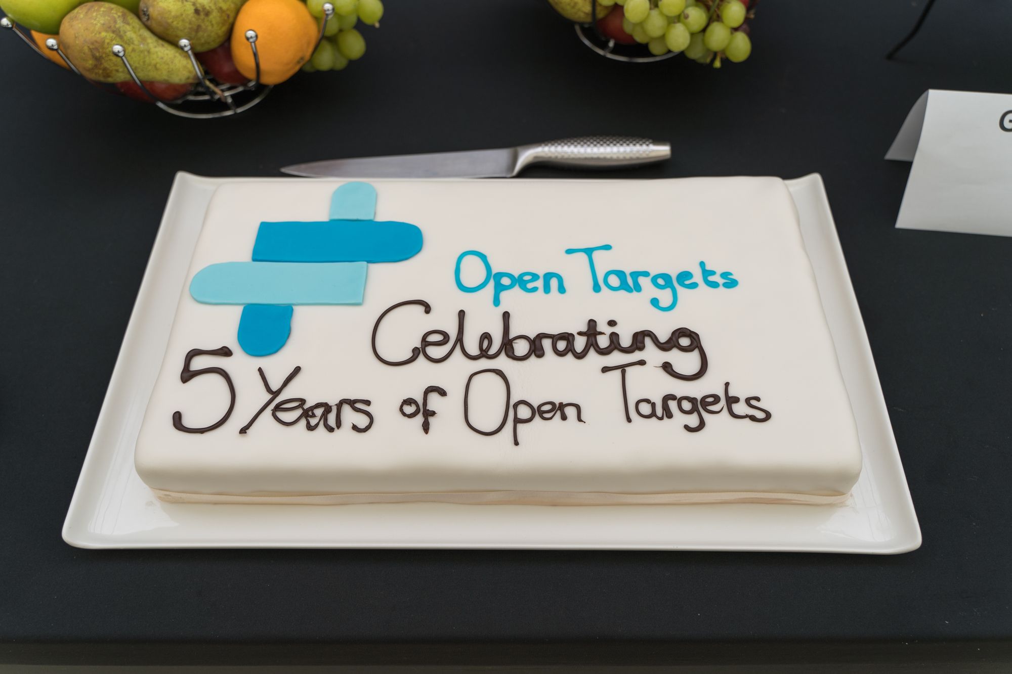 White rectangular cake with blue and brown icing which reads: "Open Targets Celebrating 5 years of Open Targets"