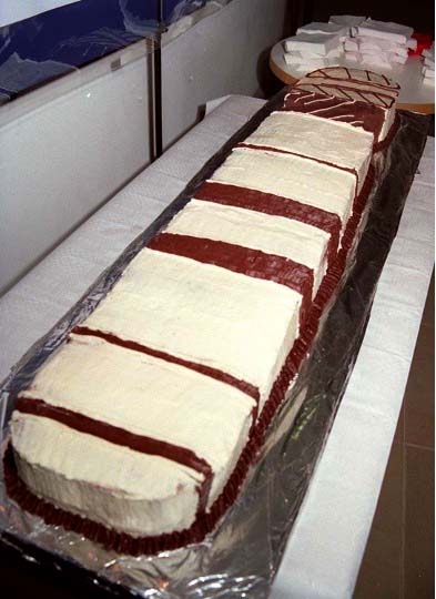 The cake itself, a long cake with white and brown icing representing a chromosome.