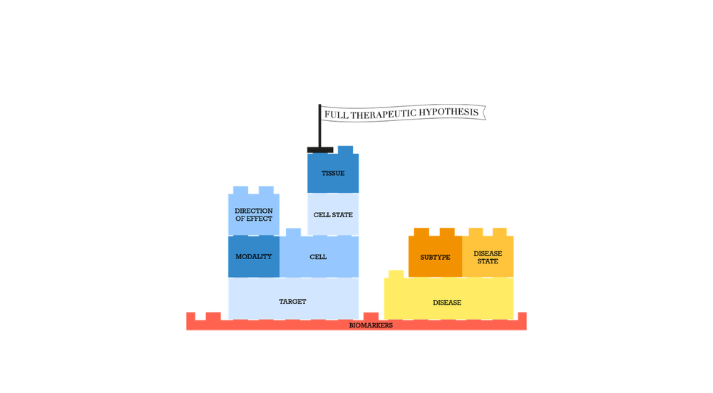 Graphic in which each element of a full therapeutic hypothesis is a piece of lego in a structure. 