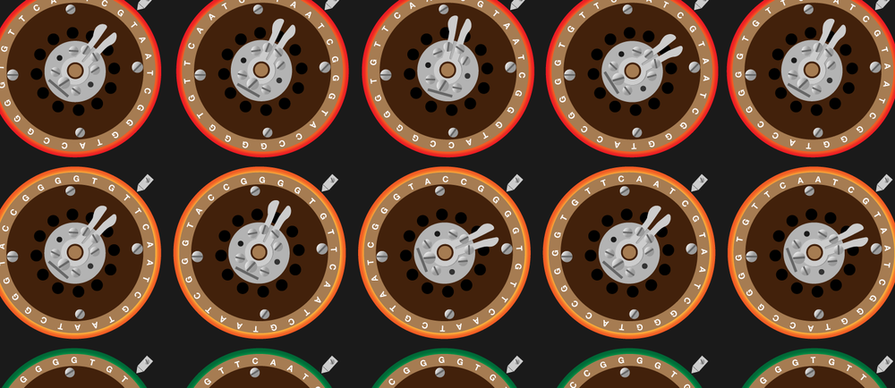 A representation of the Bombe, in which the letters of the alphabet have been replaced by DNA nucleotide letters: A, T, C, G