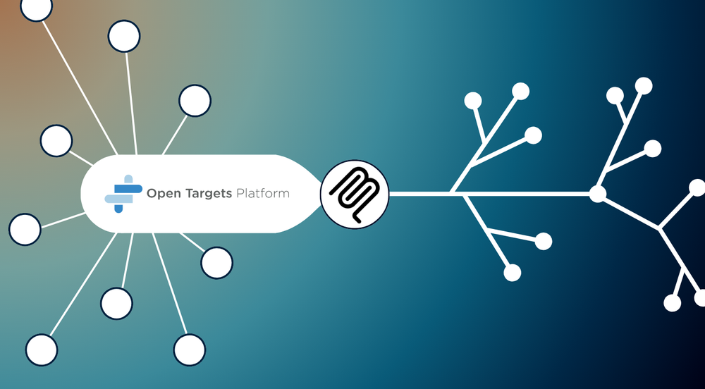 A graphic representing the Open Targets Platform data feeding into the MCP logo, and creating a network of nodes