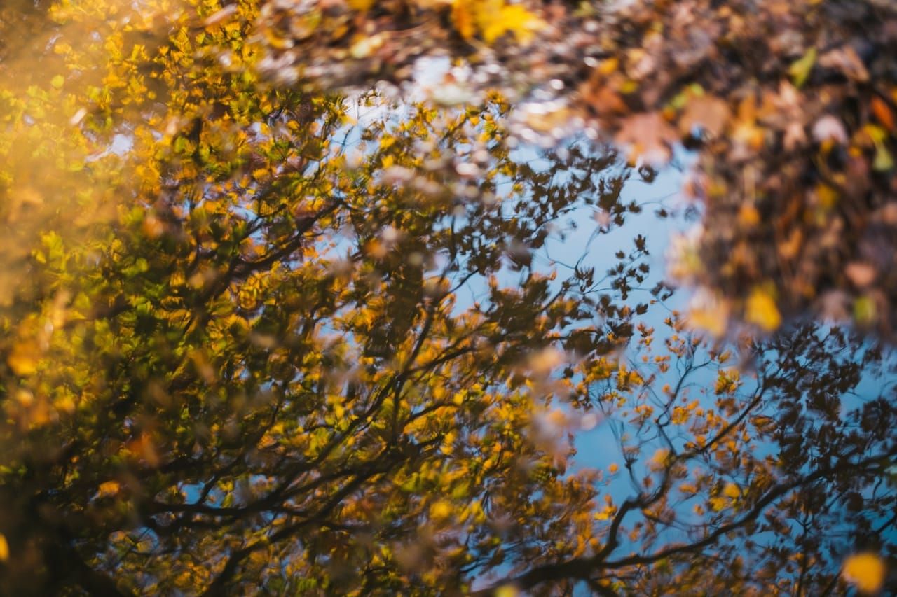 How to Focus When You Can't Sit Still