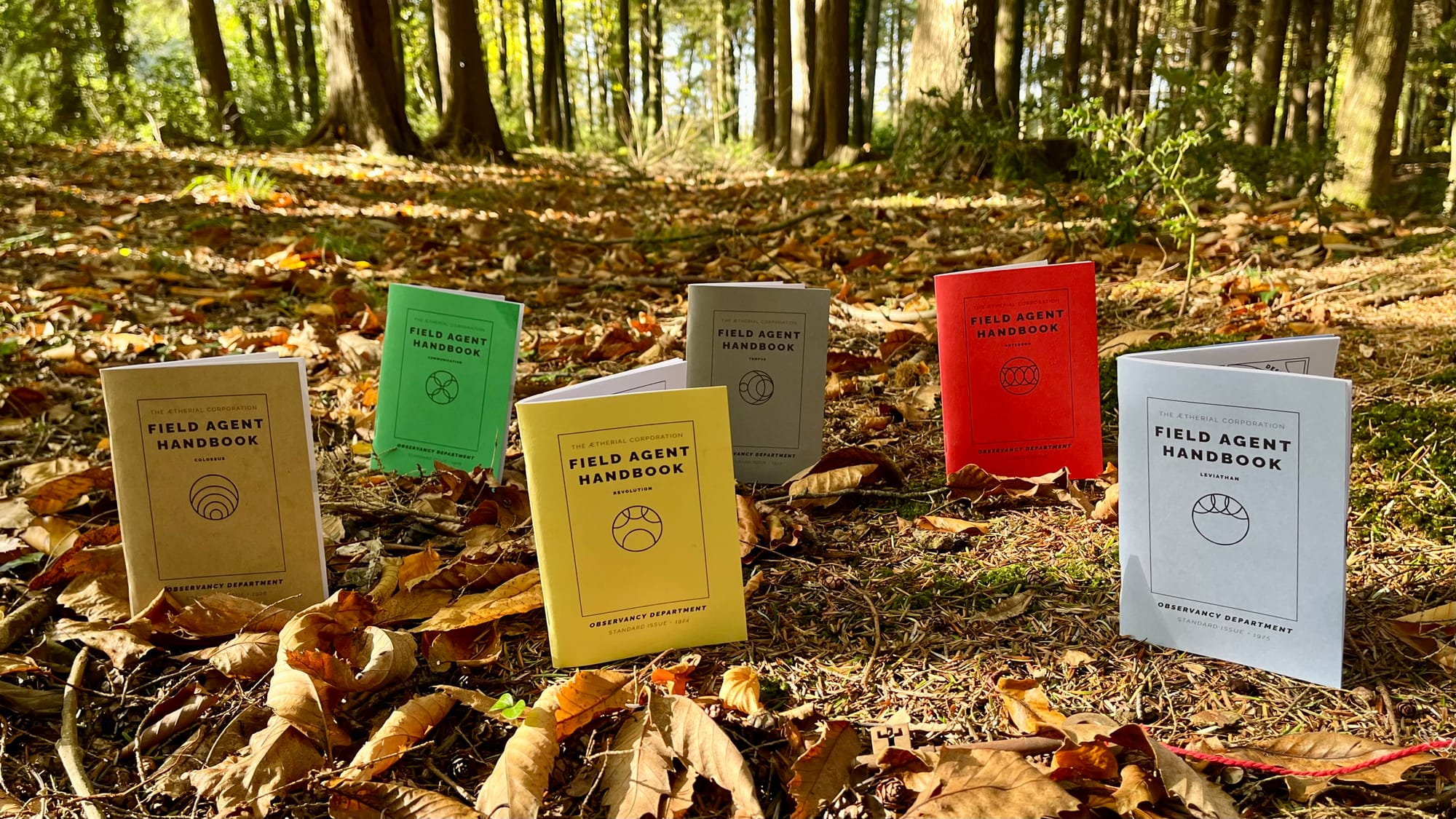 The five Handbooks, notebook and calibration record standing on a first floor with trees receding into the distance