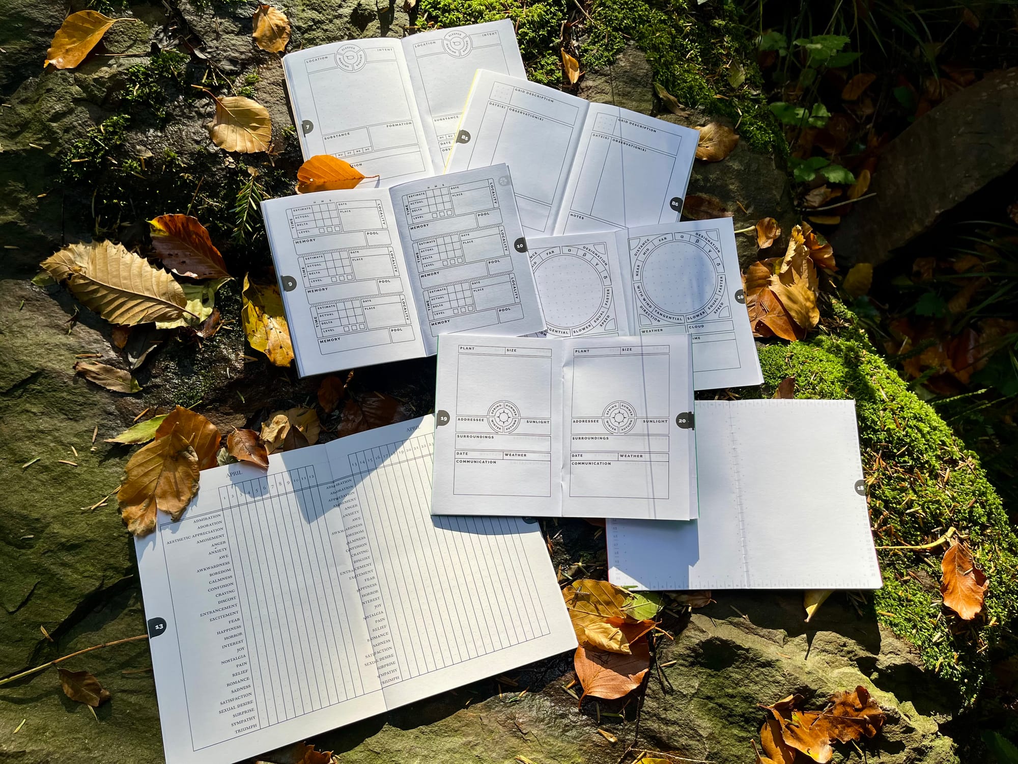 The seven booklets open showing the pages of tales where you record your findings, lying on top of a mossy rock
