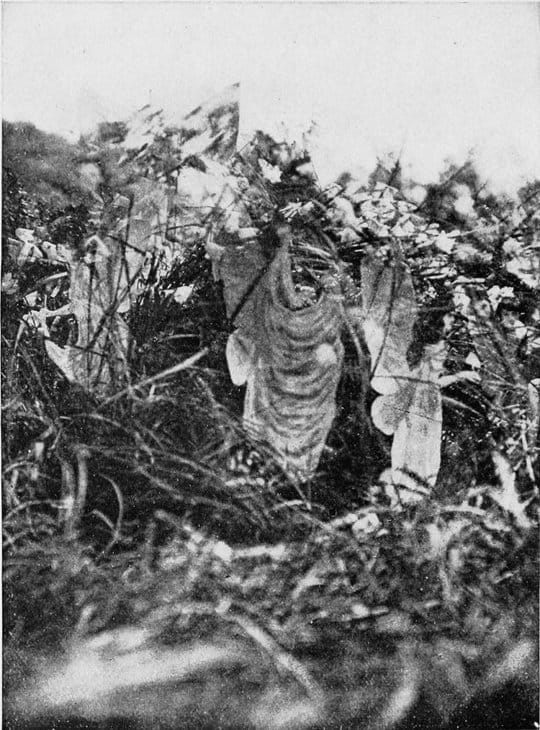 A blurry, black-and-white photograph of a small grounded bird's nest in which faries play. There are two fairies visible with obscured faces and bright butterfly wings.