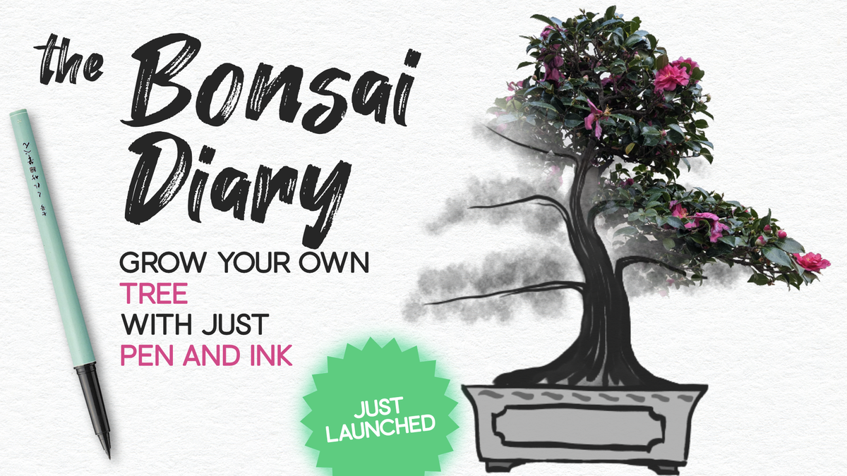 “The Bonsai Diary” offers tabletop serenity