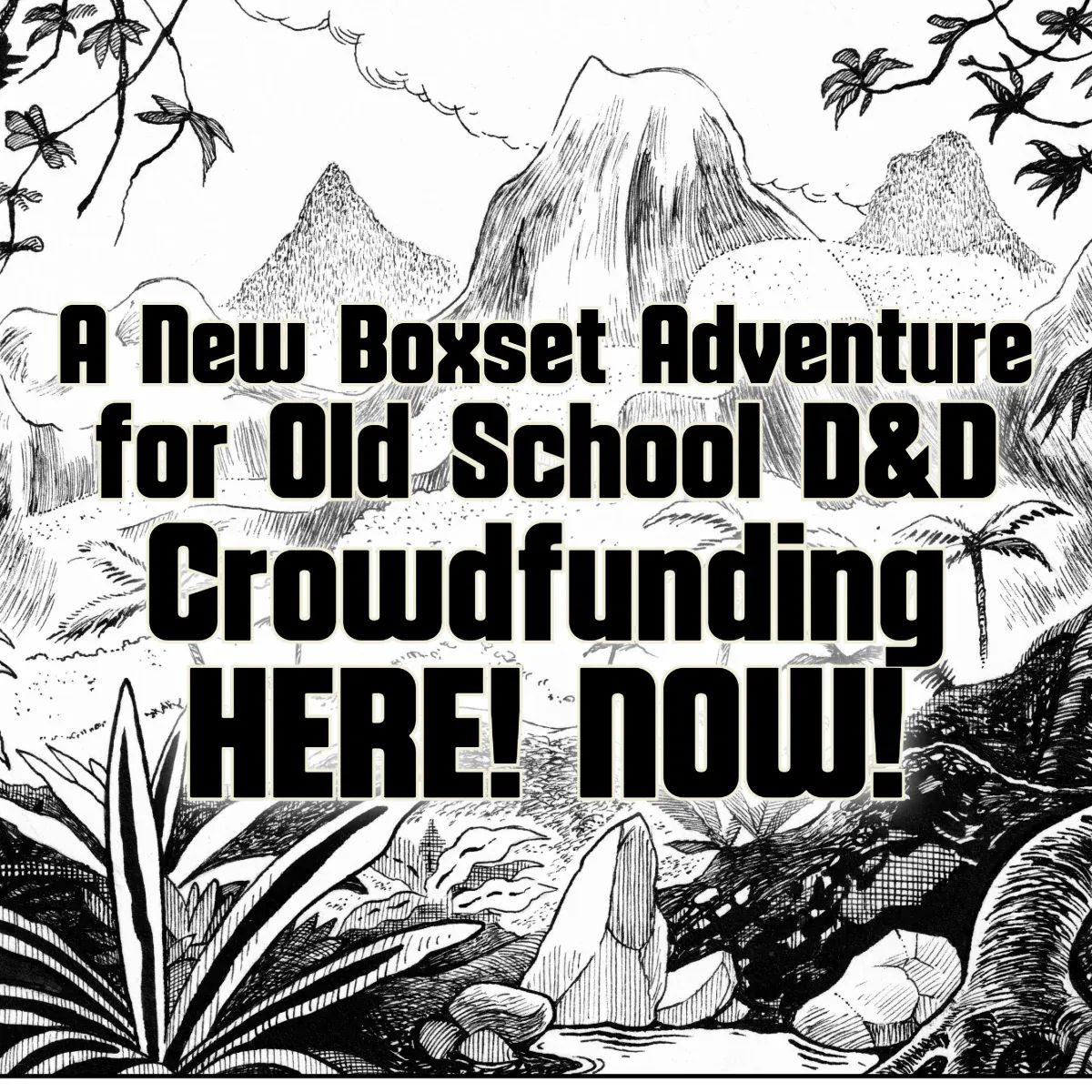 Crowdfunding: Witch War to the Vale of Forbiddiction... and Beyond