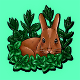 Mint-Rabbit