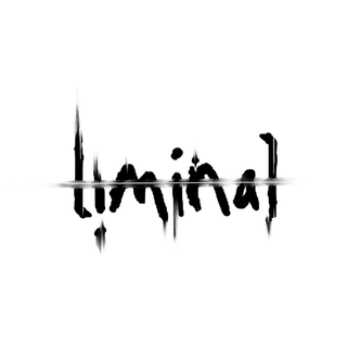Liminal Artifact
