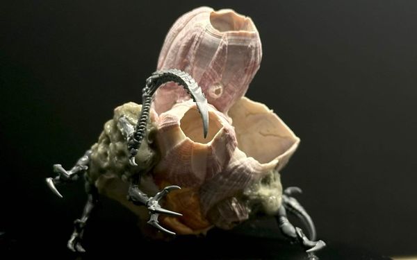 A miniature with plastic appendages shaped like clawed, mechanical hands and a real-life barnacle cluster on top.