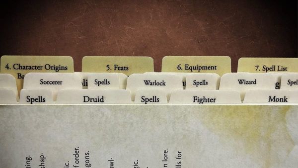Find Any Rule in Seconds with New D&D 2024 Player's Handbook Index Tabs