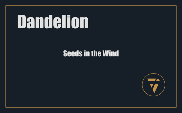 Dandelion: Seeds in the Wind