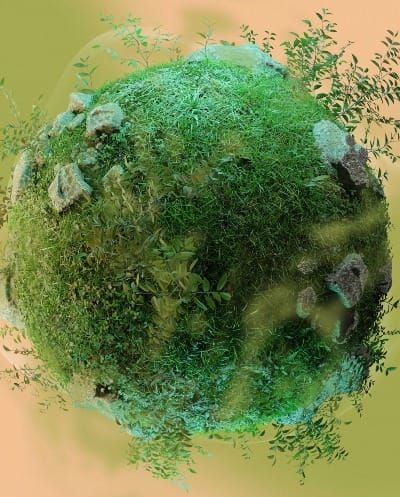 Adaptive systems exist within reality