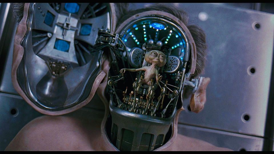 The Mental Accountant