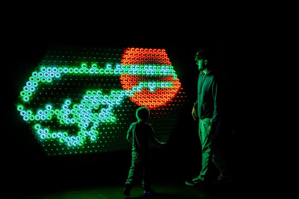 Quantum Jungle — Robin Baumgarten's Installation Turns Physics into Something You Pet