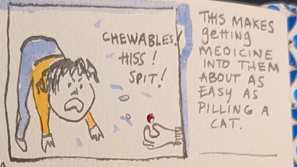 a comic about pilling my cat, I mean child