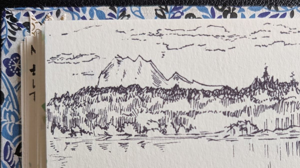 new novel progress!