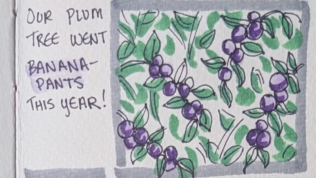 a comic about plums, also some cats