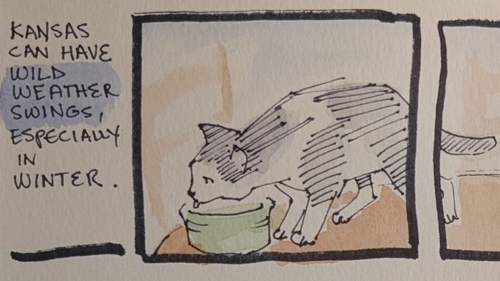 a story about visiting my parents, with sketches of cats