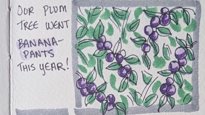 a comic about plums, also some cats