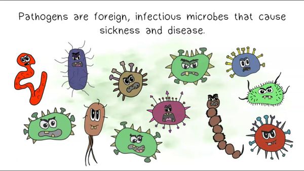 Endemic Pathogens Are Making You Crazy And Then Killing You: Toxoplasmosis Spotlight