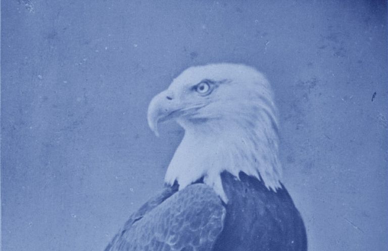Life, liberty, and the pursuit of happiness: A 250-year performance review