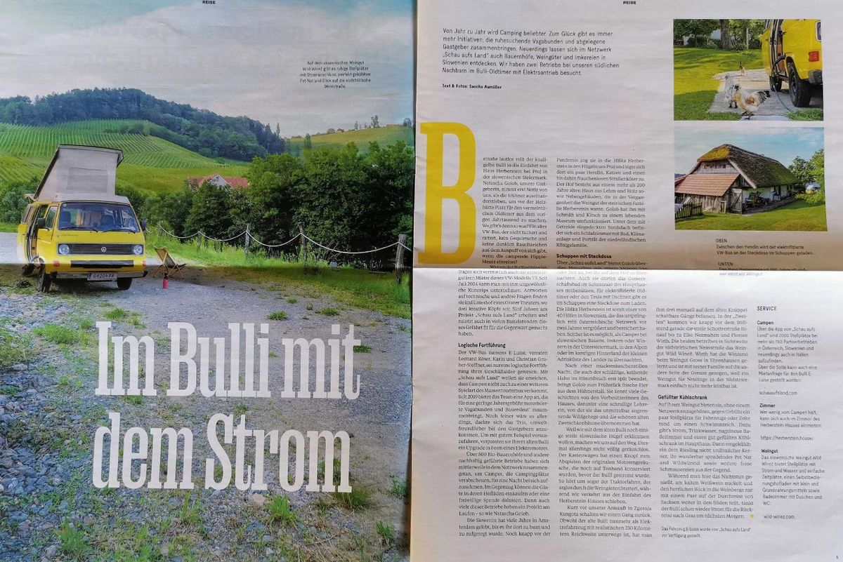 E-Luise im DerStandard