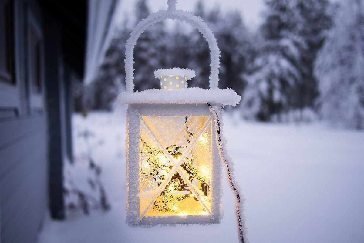 Winterruhe in der Natur