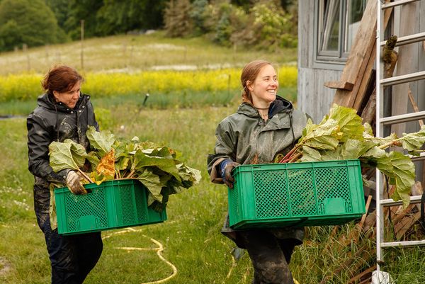 WWOOF Deutschland – Landwirtschaft hautnah erleben