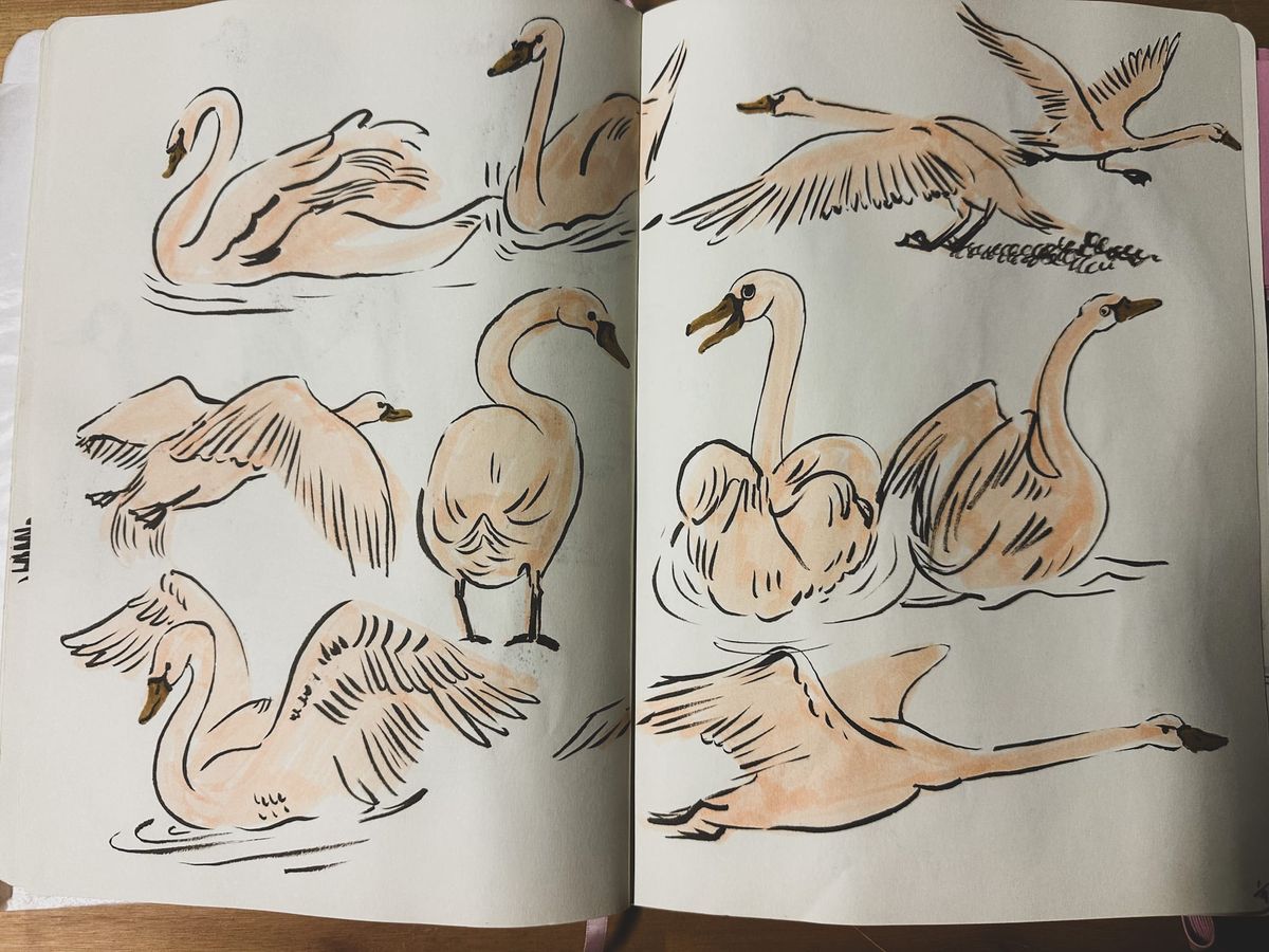 New Year, New Sketchbook Routine