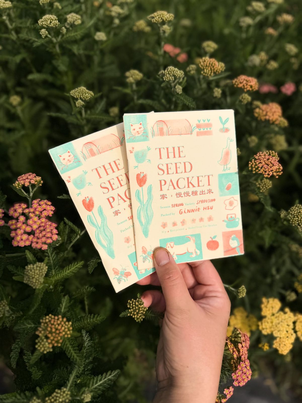 The Seed Packet