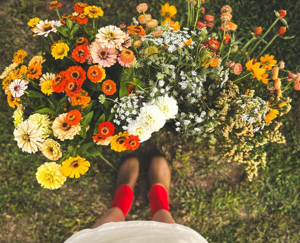 Summer at The Meadow