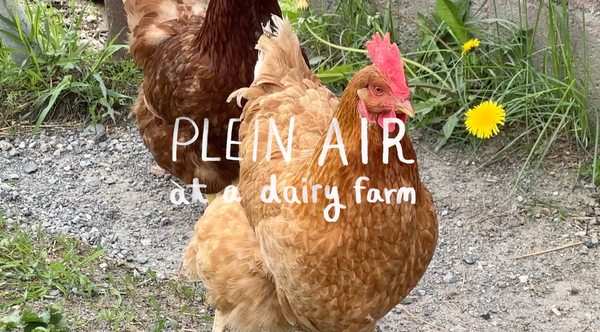 Plein Air Sketching at a Dairy Farm