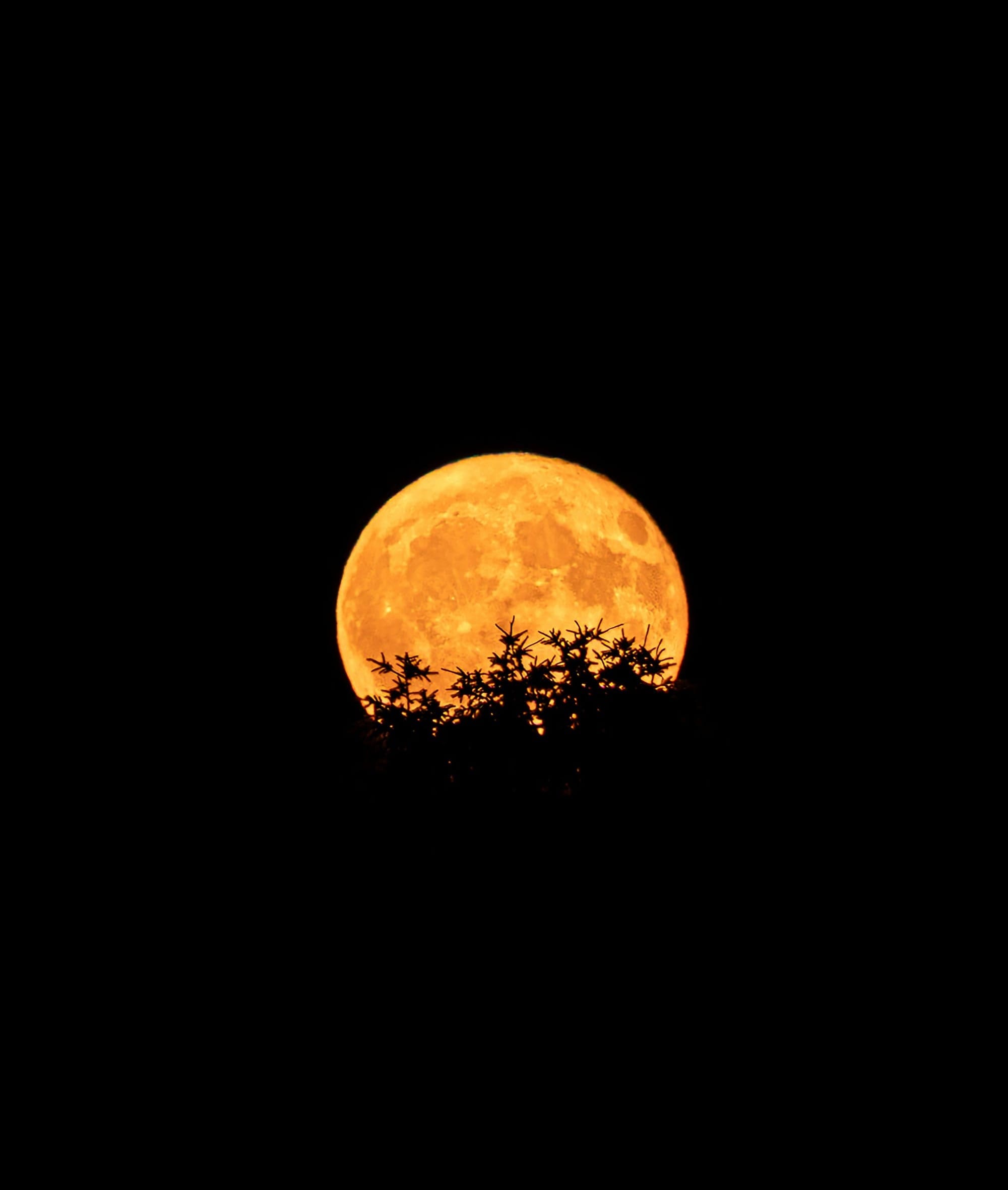 Evaluation and Transformation