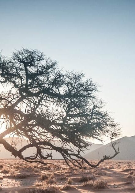 Evaluation for Transformation Evaluation for Transformation