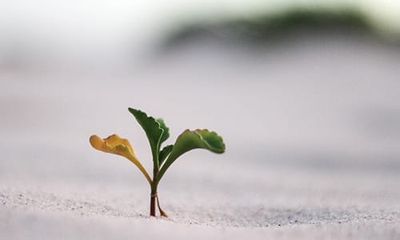 Transformation-Focused Evaluation