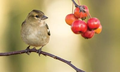 Titbits and Snippets