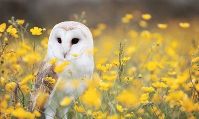 Science, Research and RQ+