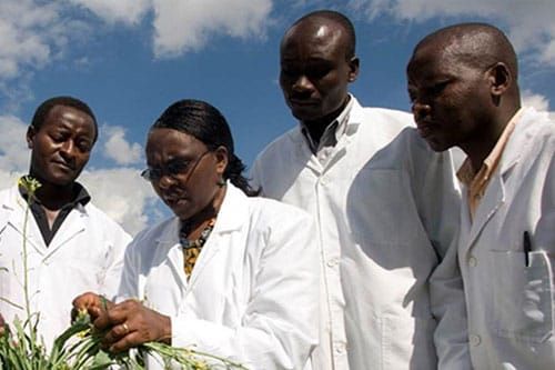 Diamonds for AWARD: Evaluation and the quest for African Women Science Leaders