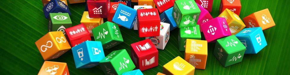 Evaluation and the SDGs, Part 1