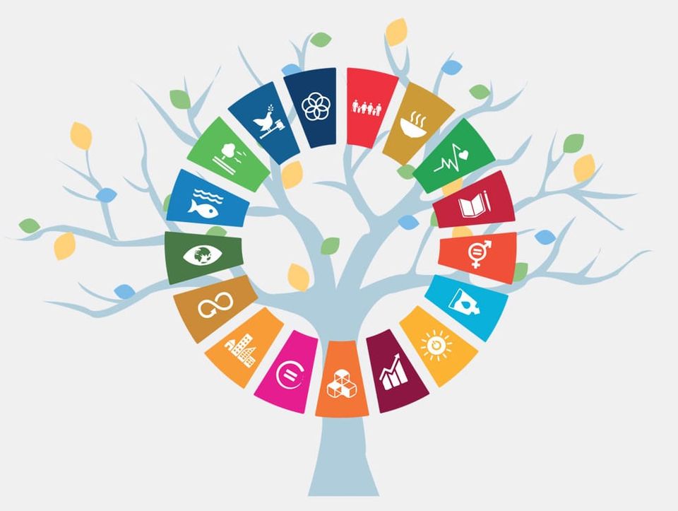 Towards Transformation, 2. Interactions between the SDGs