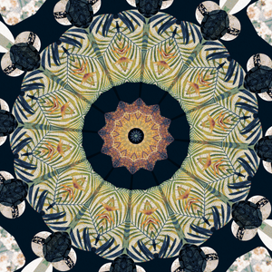 Images from early 2021